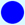 Blue dot visual link to the Laurel Hill Mansion Events Calendar for more information.
